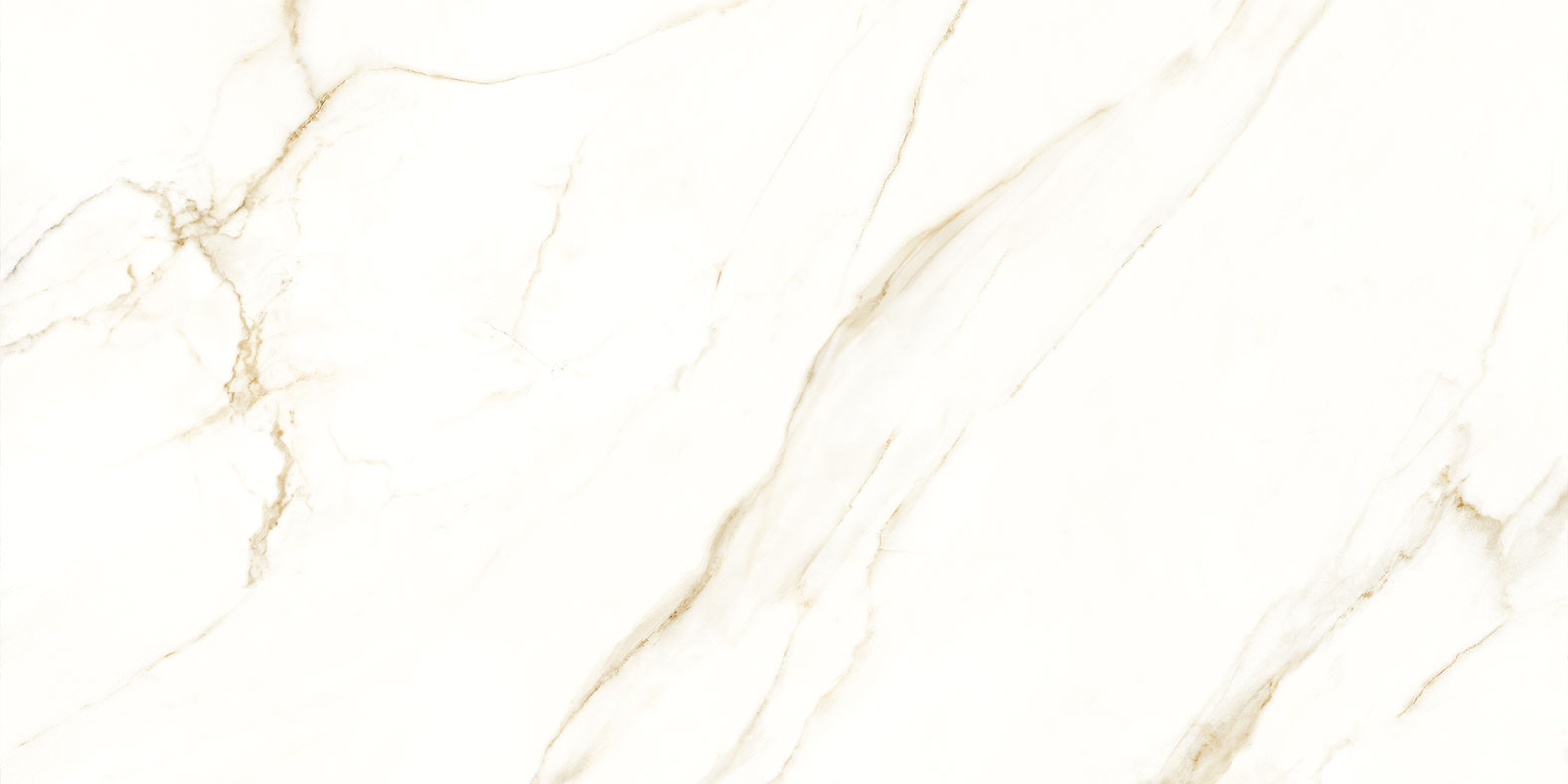 calacatta oro stolanic usa