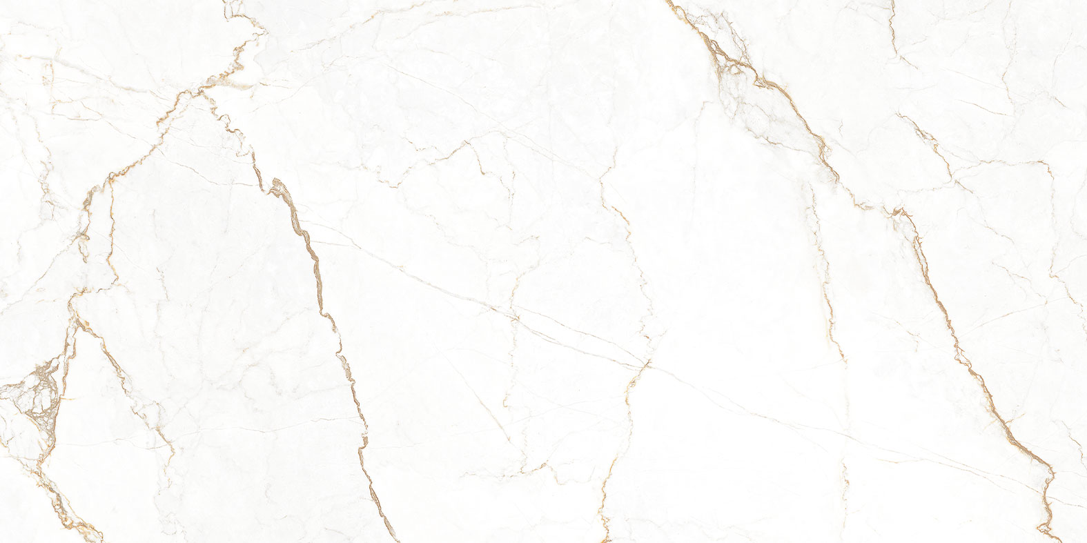 champagne vein stolanic usa